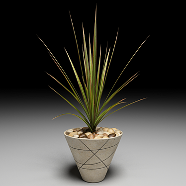 Houseplant Maire