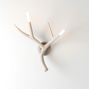 Roll &amp; Hill Antler Sconce