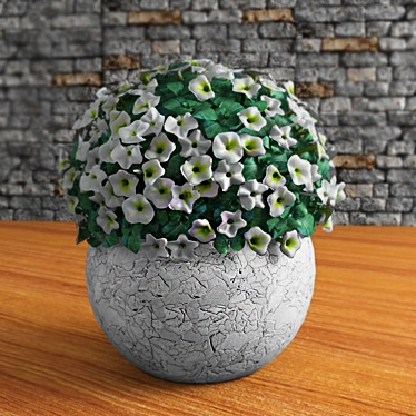 White Petunia 3D model image 1 