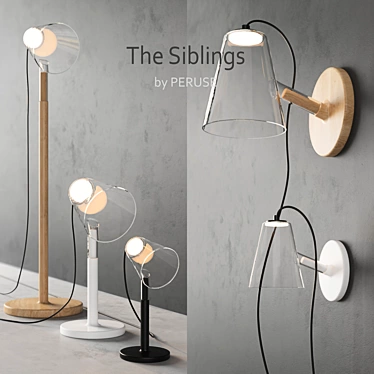 The Siblings: Illuminating Connections 3D model image 1 