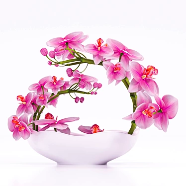 3DSky and 3DDD Dedicated: ORCHID 3 - Unleash Your Creativity 3D model image 1 