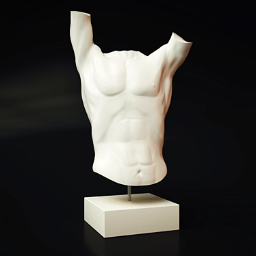 Sleek Torso Sculpture 3D model image 1 