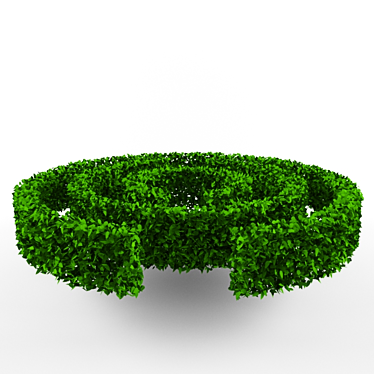 Enchanting Hedge Maze: 560cm Diameter, 85cm Height 3D model image 1 