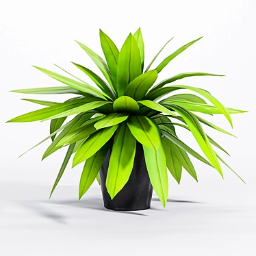 Green Beauty: Bird's Nest Fern 3D model image 1 