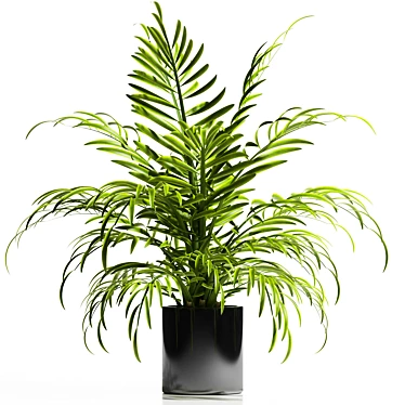 Tropical Bliss: Areca Palm Plant 3D model image 1 