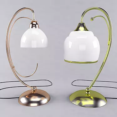 Antique Bronze Glass Table Lamp 3D model image 1 