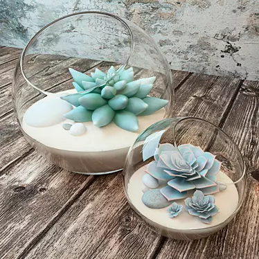 Stylish Glass Vase Succulents 3D model image 1 