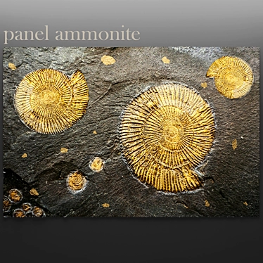 Ammonite Stone Panel 3D model image 1 