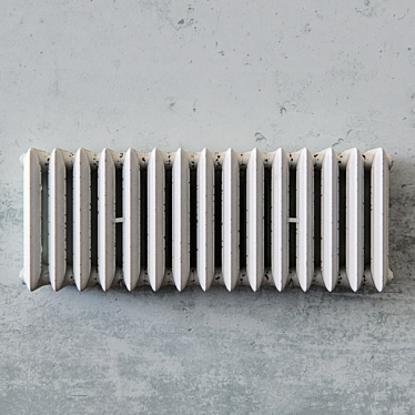 Vintage-Inspired Radiator Revival 3D model image 1 