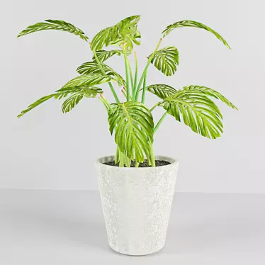 Tropical Dream: Monstera Plant 3D model image 1 