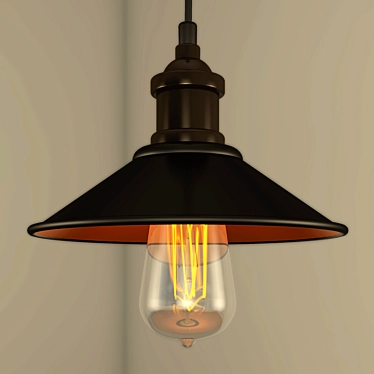 Metal Finish Ceiling Lamp 3D model image 1 