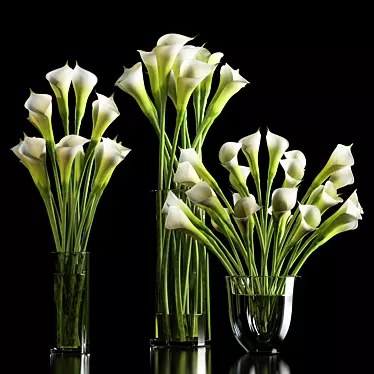 Elegant Calla Lilies 3D model image 1 