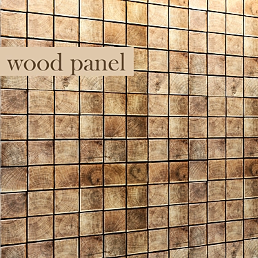 Wooden Wall Panel 3D model image 1 