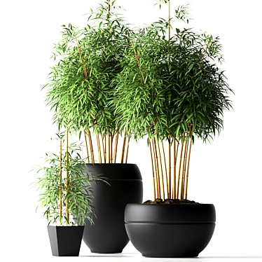 Lush Bamboo Paradise: 18 Varieties 3D model image 1 