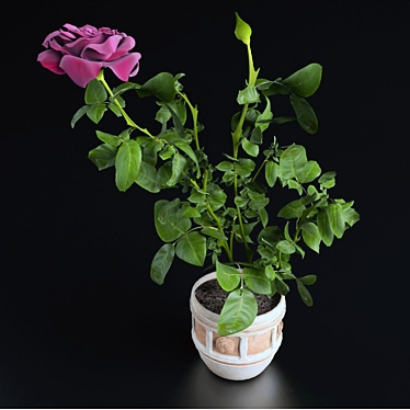 Blooming Beauty: Miniature Rose 3D model image 1 