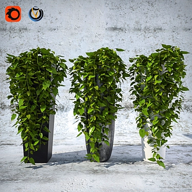 Title: Versatile Plants Bundle 3D model image 1 