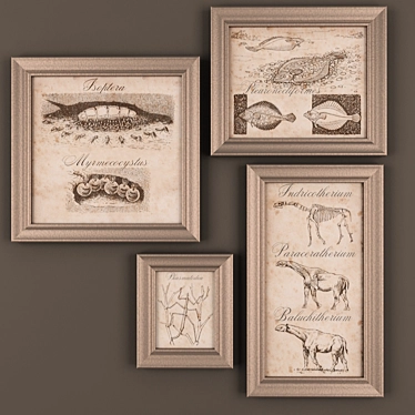 Picture frame Cocoa Brown
