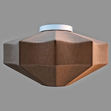 Minimalistic Metal Ceiling Light 3D model image 1 