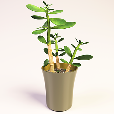 32cm Money Plant - Prosperity in a Pot 3D model image 1 