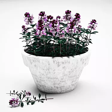 Provence Thyme Pot: Enhance Your Space with Blooming Beauty 3D model image 1 