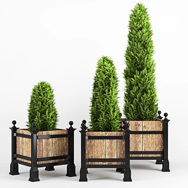 Thuja Occidentalis - High-quality 3D Plant 3D model image 1 