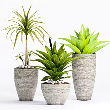 Elegant Decorative Plant 3D model image 1 