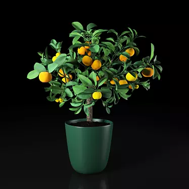 Vibrant Orange Room with Tall Plant 3D model image 1 