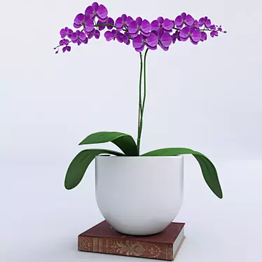 Exotic Orchid Plant 3D model image 1 