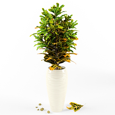 Vibrant Tropical Croton Plant 3D model image 1 