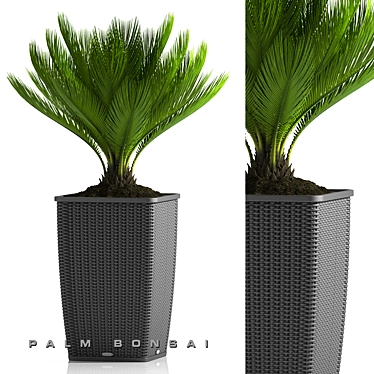 Tropical Zen: Palm Bonsai 26 3D model image 1 