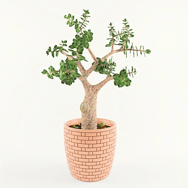 Title: Tropical Jade Money Tree 3D model image 1 