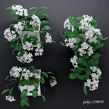 Madagascar Jasmine: Lush Blooming Vine 3D model image 1 