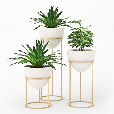 Lush Green Plant Bundle 3D model image 1 