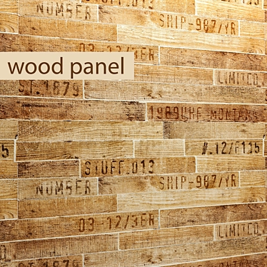 Natural Wood Panel Board 3D model image 1 