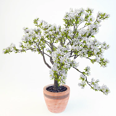 Ethereal Magnolia Blossom 3D model image 1 