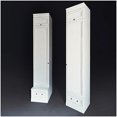 Modular Individual Project Cabinet/Wardrobe 3D model image 1 