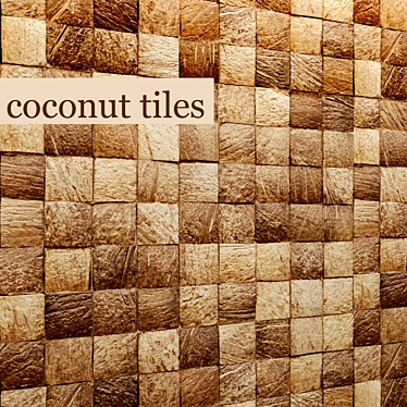 Coconut Slice Tile 3D model image 1 