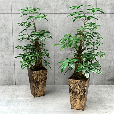 Elegant Money Tree: Three Unique Stylized Models 3D model image 1 