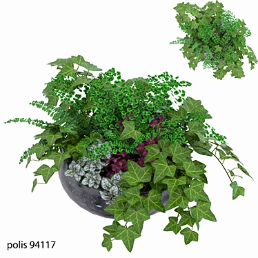 Herbal Fusion: Ivy, Fern, Hypoestes 3D model image 1 