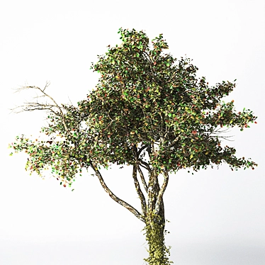 21-inch High Poly Tree Model 3D model image 1 