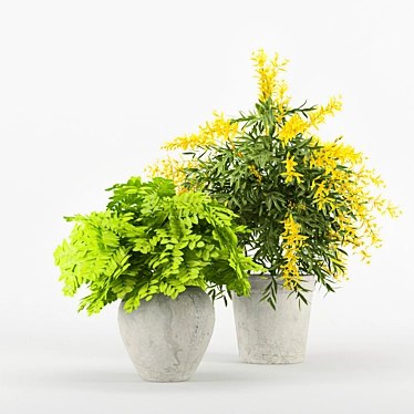 Elegant Floral Collection 3D model image 1 
