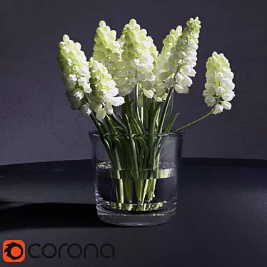 CoronaRender-ready Muscari_Hyacinthaceae 3D model image 1 