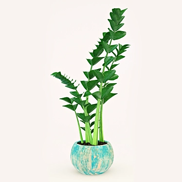 Zamioculcas: The Perfect Home Plant 3D model image 1 