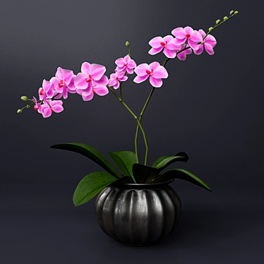 Elegant Pink Orchid in Metal Vase 3D model image 1 