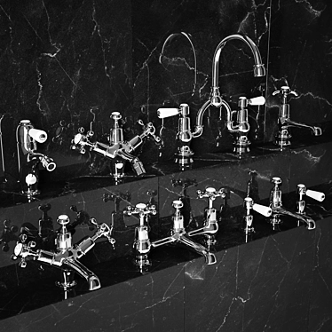 Burlington Basin Tap Set with 4 Handle Styles 3D model image 1 