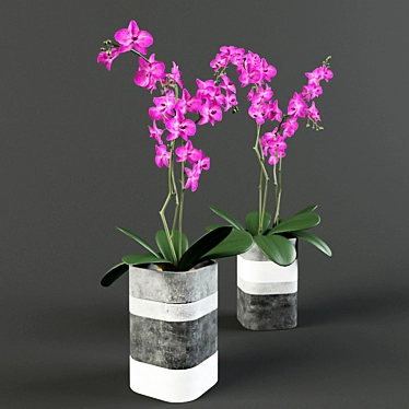 Concrete Elegance: Orchids in Vases 3D model image 1 
