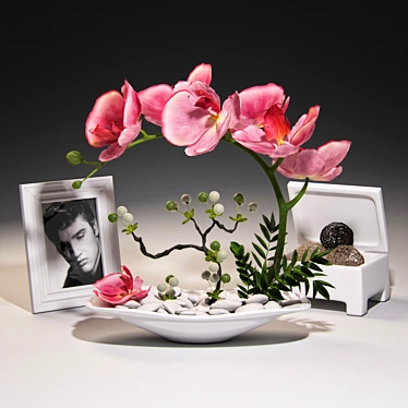 Title: Elegant Orchid Decor Set 3D model image 1 