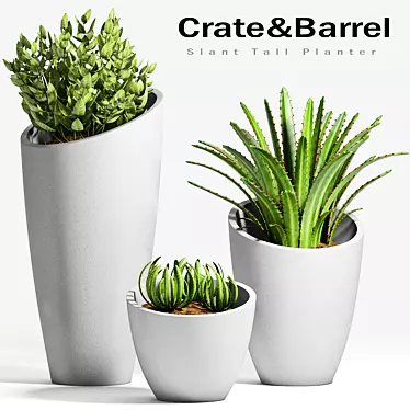 Stylish Planters Collection 3D model image 1 