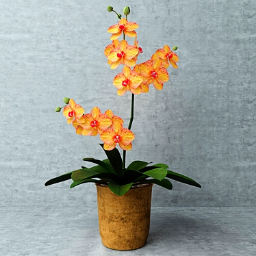 Sunny Yellow Orchid 3D model image 1 