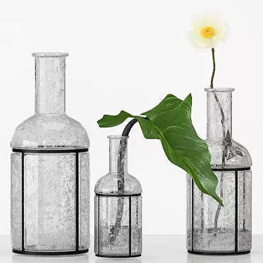 Caged Bubble Vases